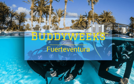 Buddyweeks Fuerteventura 2019 – 2020