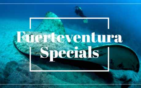 Fuerteventura Specials at a glance