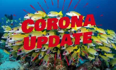 Corona Update 26.04.2020