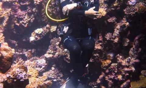 New Divemaster